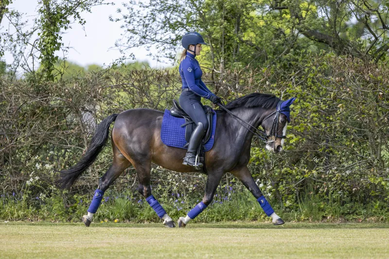 LeMieux Suede Dressage Square in Ink Blue-1